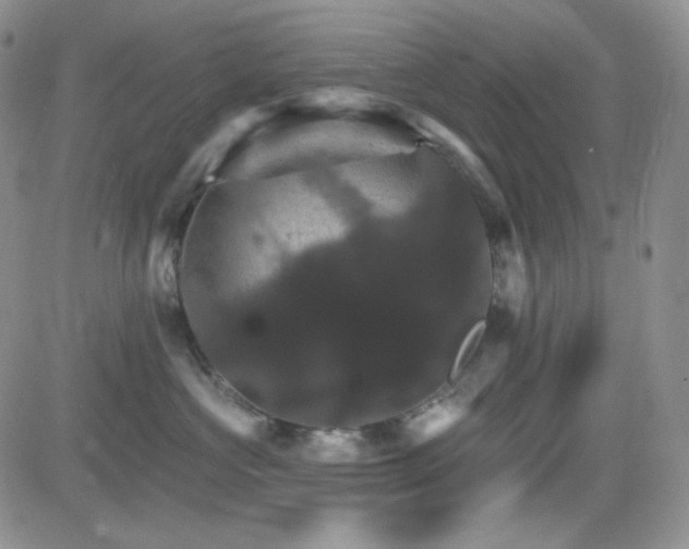 X0000084520573200702231138