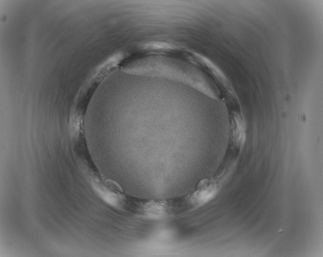 X0000084520574200702231138