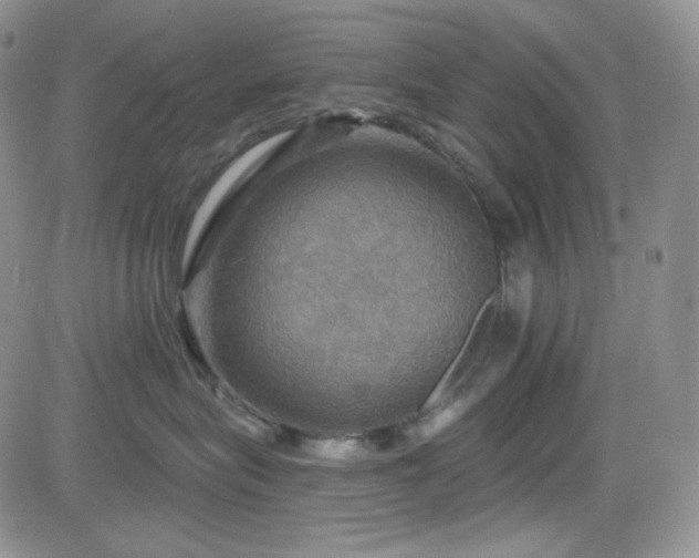 X0000084520575200702231138