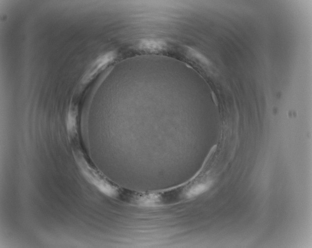 X0000084520576200702231138