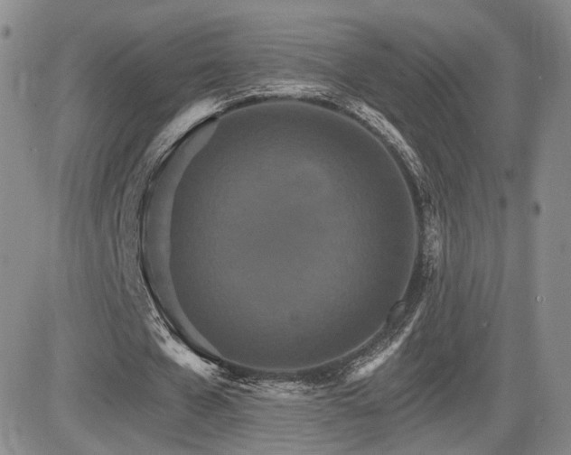 X0000084520577200702231137