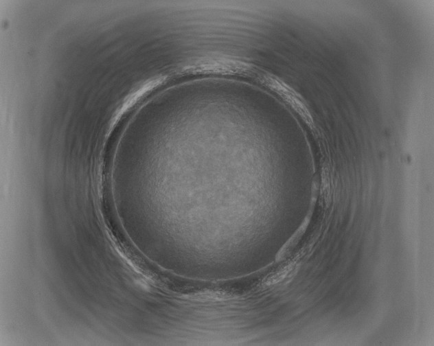 X0000084520578200702231137