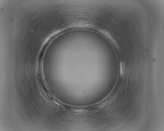 X0000084520579200702231137