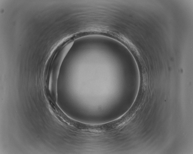 X0000084520580200702231137