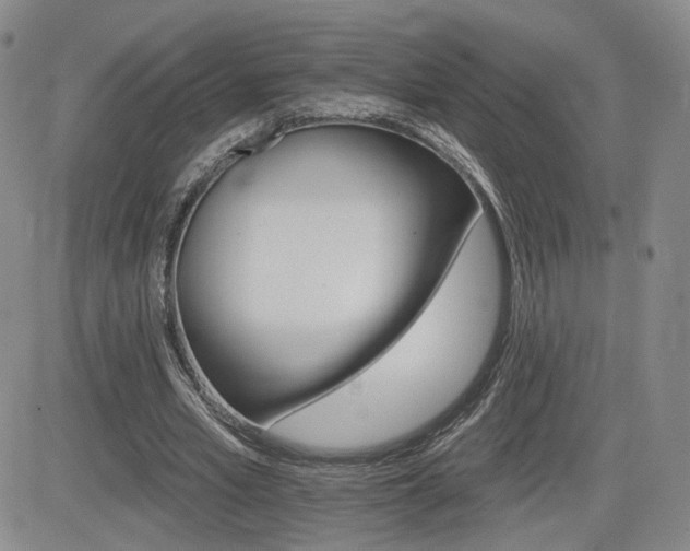 X0000084520581200702231137