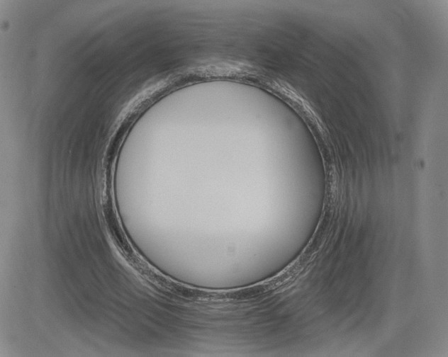 X0000084520582200702231137