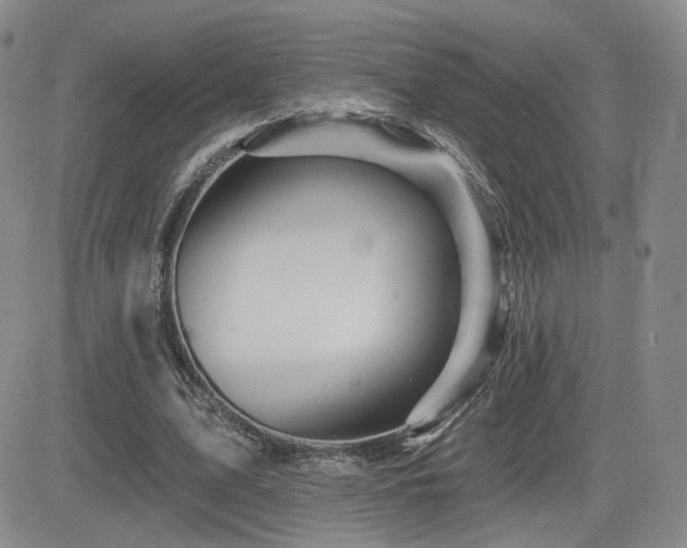 X0000084520583200702231137