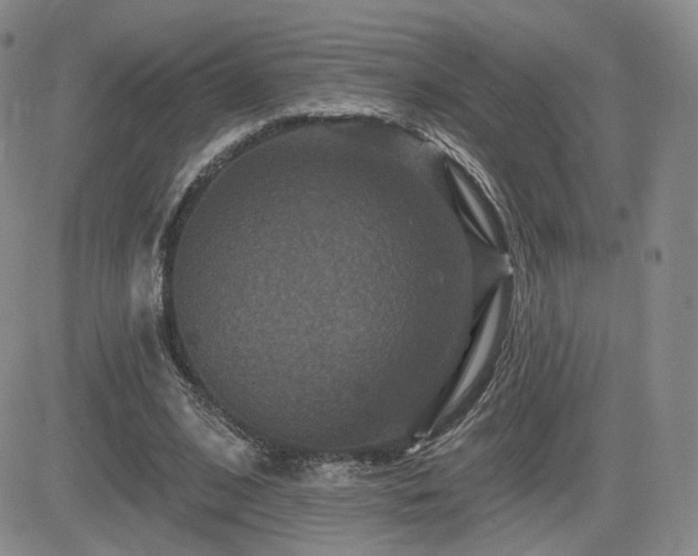 X0000084520584200702231137