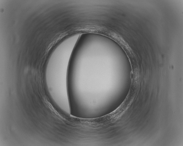 X0000084520585200702231137