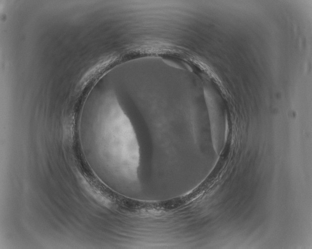 X0000084520586200702231137