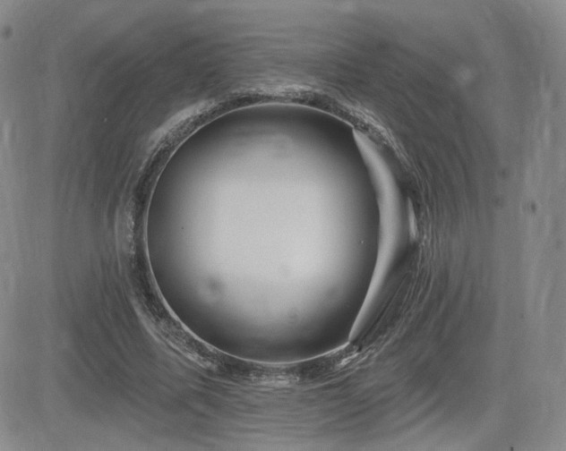 X0000084520587200702231137