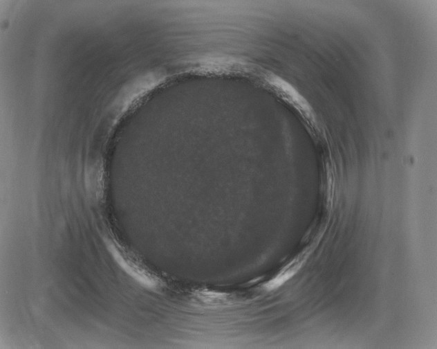 X0000084520588200702231137