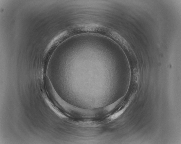 X0000084520589200702231137