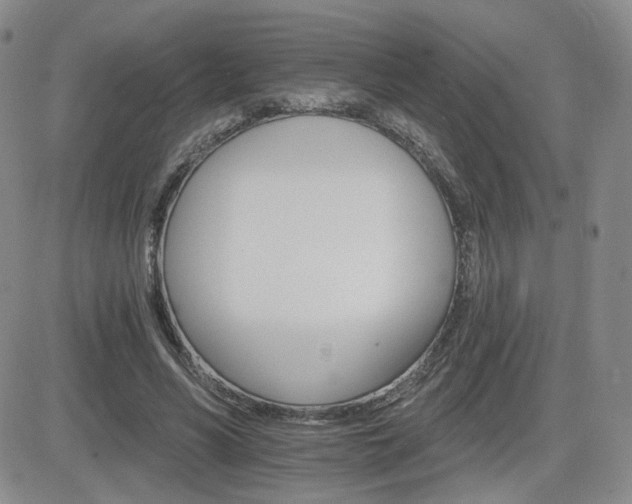 X0000084520590200702231137