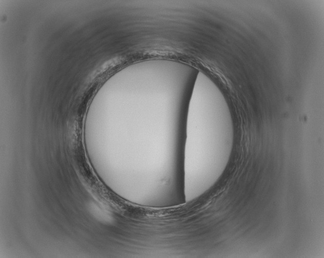 X0000084520591200702231137