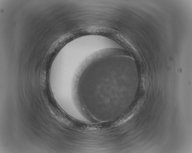 X0000084520592200702231137