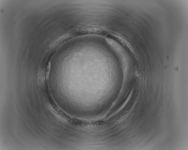 X0000084520593200702231137