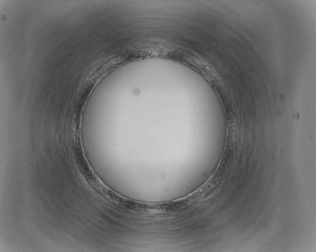 X0000084520594200702231137