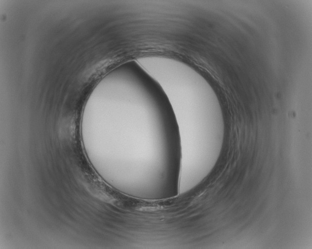 X0000084520595200702231136