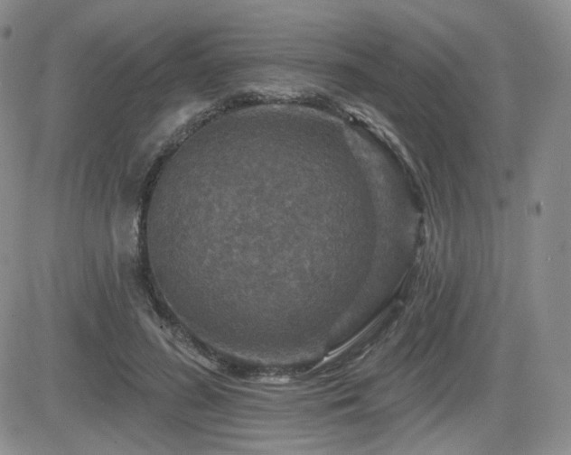 X0000084520596200702231136