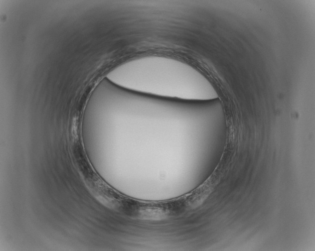 X0000084520598200702231136