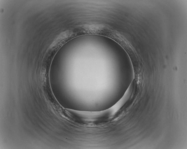 X0000084520599200702231136