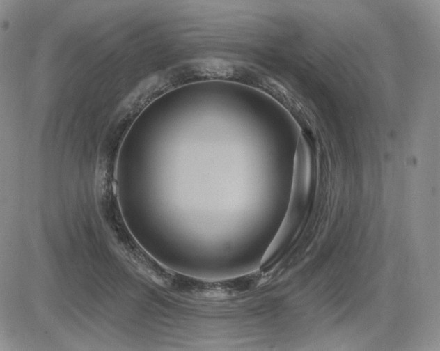 X0000084520600200702231136