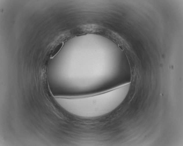 X0000084520601200702231136