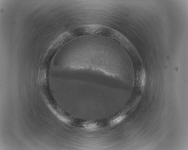 X0000084520602200702231136