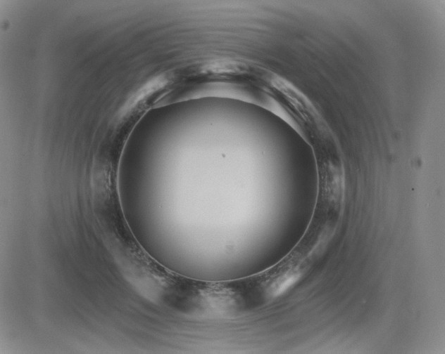 X0000084520603200702231136