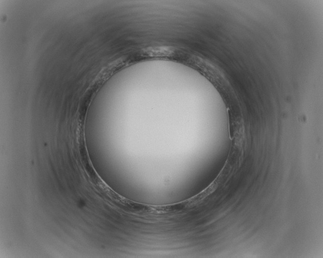 X0000084520604200702231136