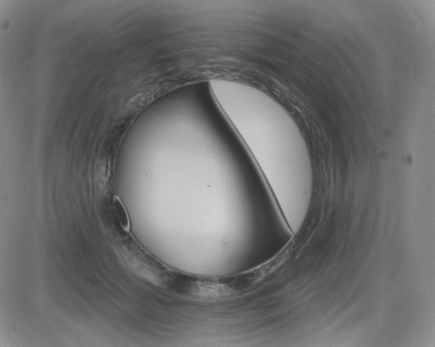 X0000084520605200702231136