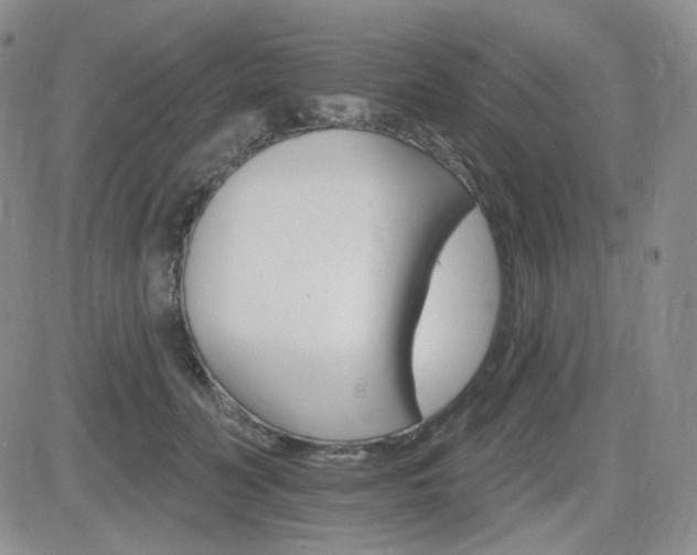 X0000084520606200702231136