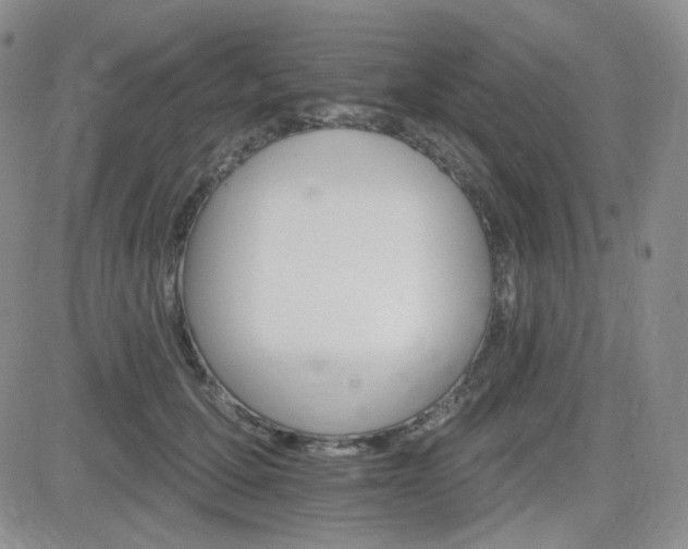 X0000084520607200702231136