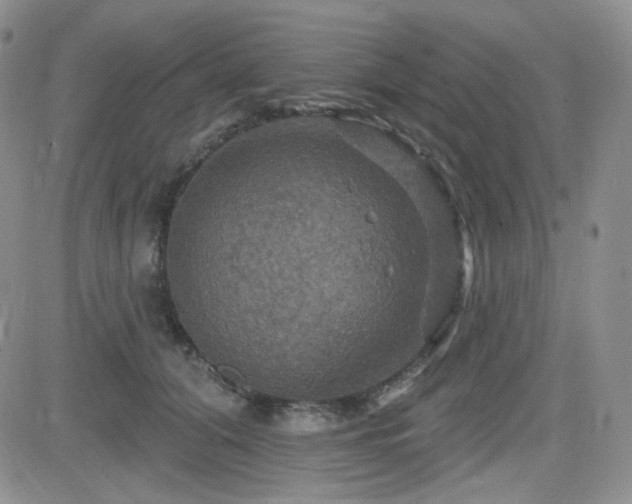 X0000084520608200702231136