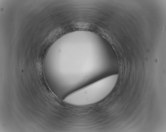 X0000084520609200702231136