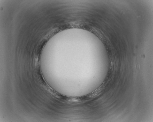 X0000084520610200702231136