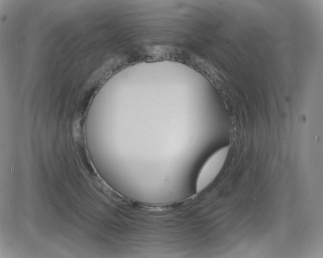 X0000084520611200702231136