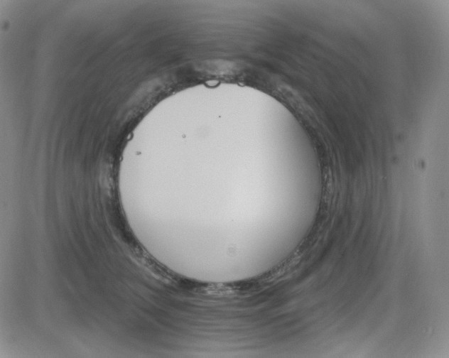 X0000084520612200702231136