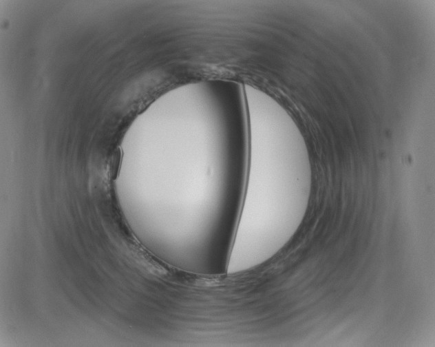 X0000084520613200702231136