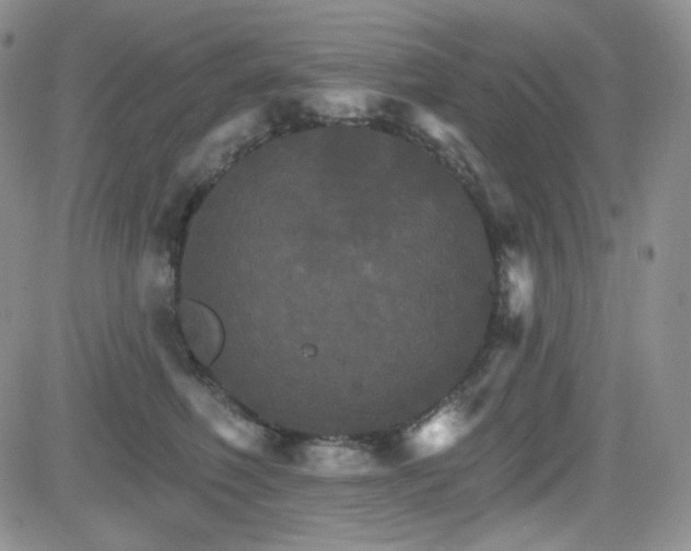 X0000084520614200702231136