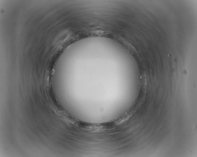 X0000084520615200702231136