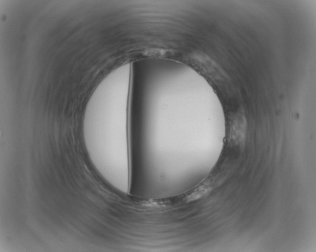 X0000084520616200702231136