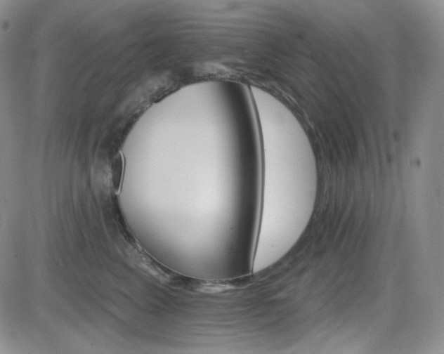 X0000084520617200702231136