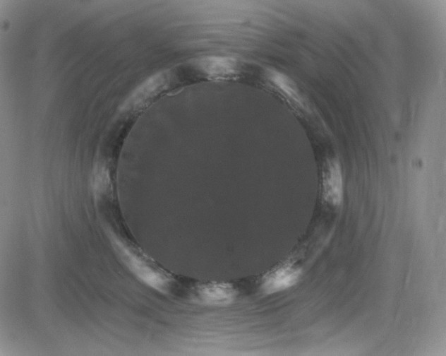 X0000084520618200702231136