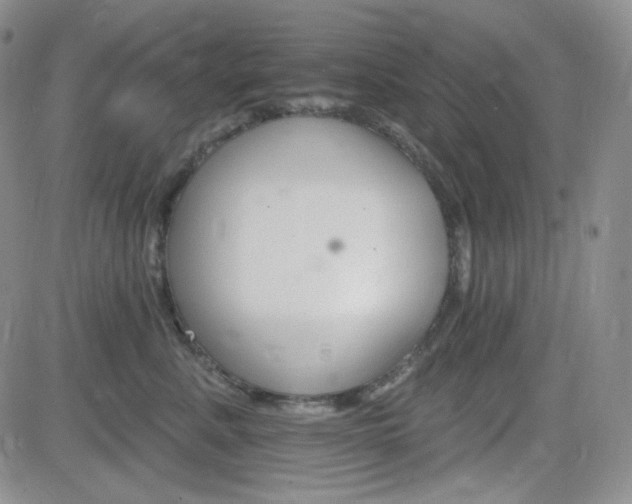 X0000084520619200702231136