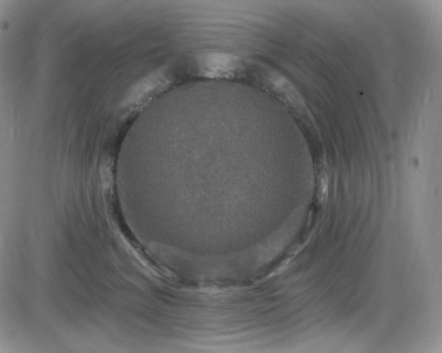 X0000084520620200702231136