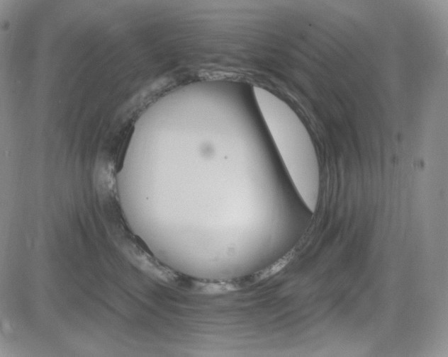 X0000084520621200702231136