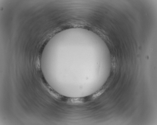 X0000084520622200702231136