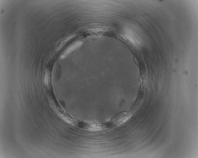 X0000084520623200702231136